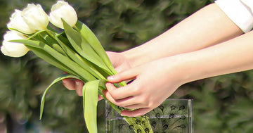 Hands arranging white tulips in a Pride and Prejudice acrylic book vase outdoors